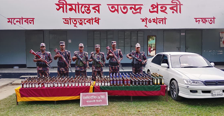 সীমান্তে বিজিবির অভিযানে মাদক-চোরাই পণ্য জব্দ