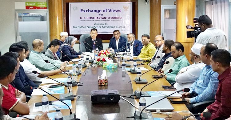 বাংলাদেশের চিকিৎসাসেবা ইন্দোনেশিয়ার তুলনায় সস্তা: রাষ্ট্রদূত