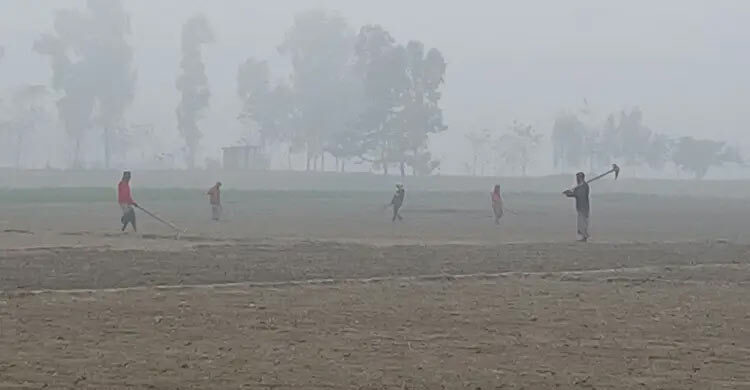 ৪ বিভাগসহ ১২ জেলায় বইছে শৈত্যপ্রবাহ