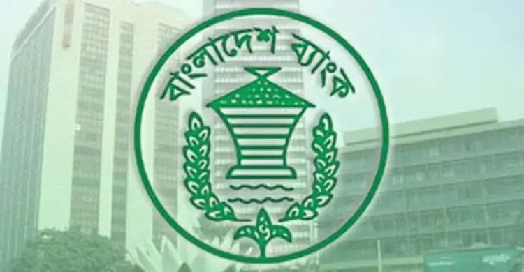 বিনা জামানতে ২০ লাখ টাকা দেবে বাংলাদেশ ব্যাংক, যারা পাবেন