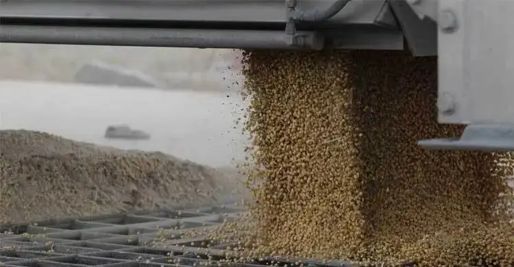 যুক্তরাষ্ট্র থেকে ১ বিলিয়ন ডলারে সয়াবিন আমদানির চুক্তি