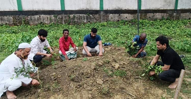 বাবার মরদেহ গ্রহণ করেননি ছেলে, দাফন করলো ব্রাহ্মণবাড়িয়া বাতিঘর