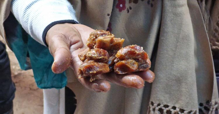 চাঁপাইনবাবগঞ্জে নিম্নমানের খেজুর মজুত, দোকানির লাখ টাকা জরিমানা