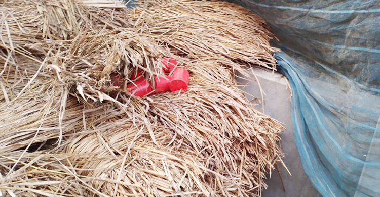 বেনাপোলে খড়ের স্তূপ থেকে ১০ ককটেল উদ্ধার