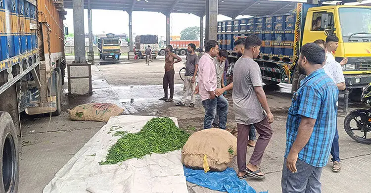 ২৫ টাকায় কেনা ভারতীয় কাঁচামরিচের দাম দেশের বাজারে কত?