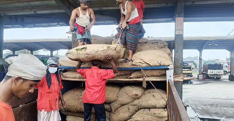 ২৫ টাকায় কেনা ভারতীয় কাঁচামরিচের দেশের বাজারে দাম কত?