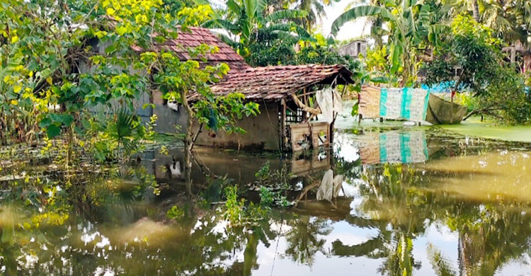 বেনাপোলে তলিয়ে গেছে শতাধিক বাড়িঘর