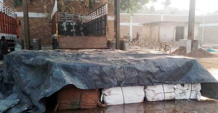 বেনাপোলে মিথ্যা ঘোষণায় আমদানি করা ৩ টন ইলিশ জব্দ