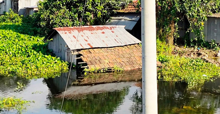 বেনাপোলে তলিয়ে গেছে শতাধিক বাড়িঘর