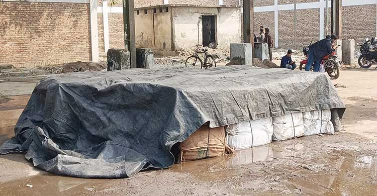 বেনাপোলে মিথ্যা ঘোষণায় আমদানি করা ৩ টন ইলিশ জব্দ