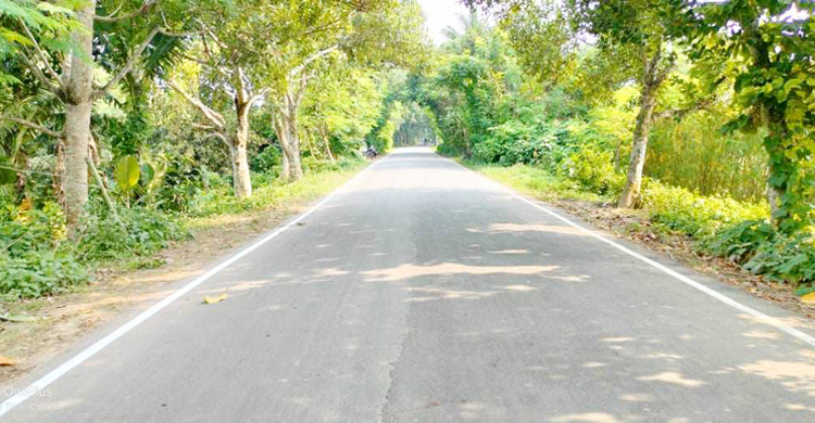 ভোগান্তি থেকে মুক্তি পেলেন শার্শা-জামতলা সড়কে চলাচলকারীরা