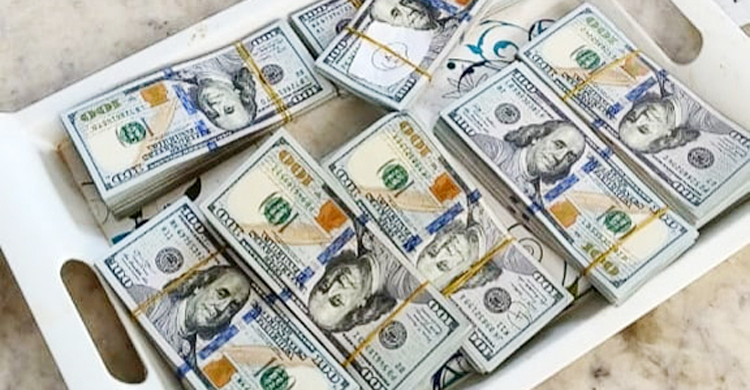 বেনাপোল চেকপোস্টে বিপুল পরিমাণ ডলারসহ নারী আটক