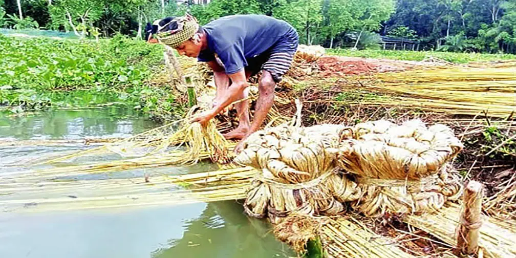 jute