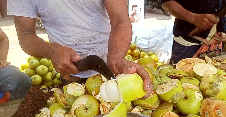 জ্যৈষ্ঠের খরতাপে তালশাঁস বিক্রি করে ভাগ্যবদল শতাধিক পরিবারের