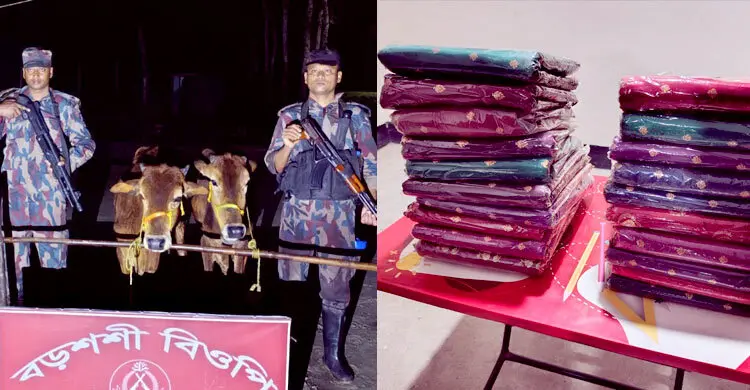 পঞ্চগড় সীমান্তে গরুসহ ভারতীয় পণ্য জব্দ