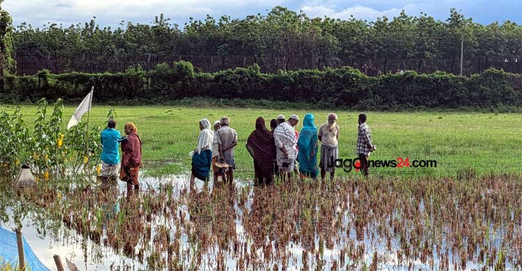 ‘অবৈধ ভারতীয়দের’ পুশ ব্যাক শুরু করেছে বাংলাদেশ