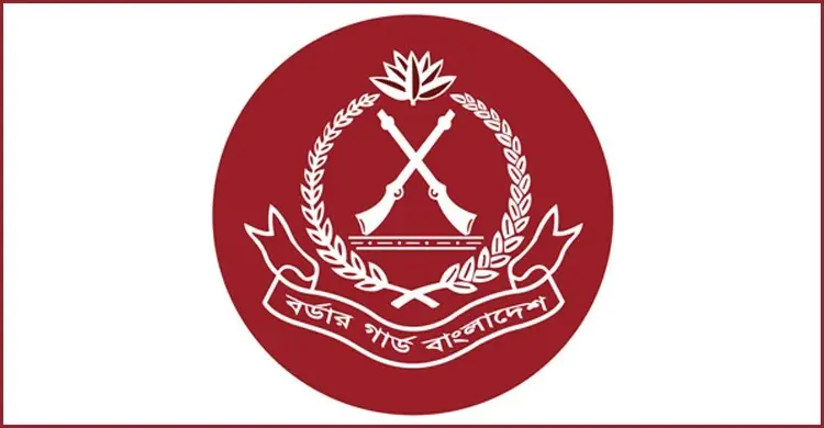 অসামরিক পদে বিজিবিতে যোগ দিন, অষ্টম শ্রেণি পাসেই আবেদন