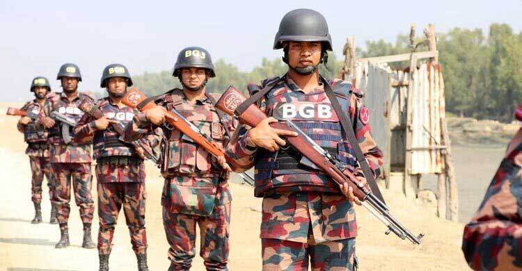 চোরাকারবারি ধরতে বিজিবির ফাঁকা গুলি, ১০ মহিষ জব্দ