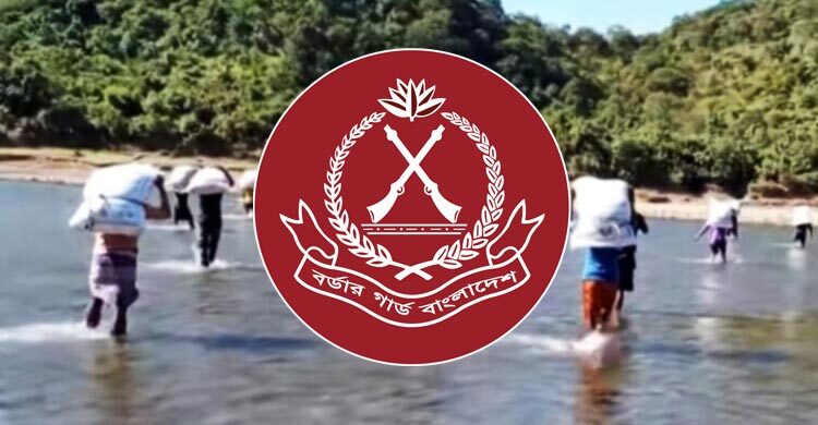 ফেব্রুয়ারিতে সীমান্তে ১৭০ কোটির চোরাচালান পণ্য জব্দ, আটক ৯৪৪