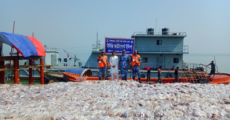মেঘনায় যাত্রীবাহী লঞ্চ থেকে ২০০ মণ মাছ জব্দ
