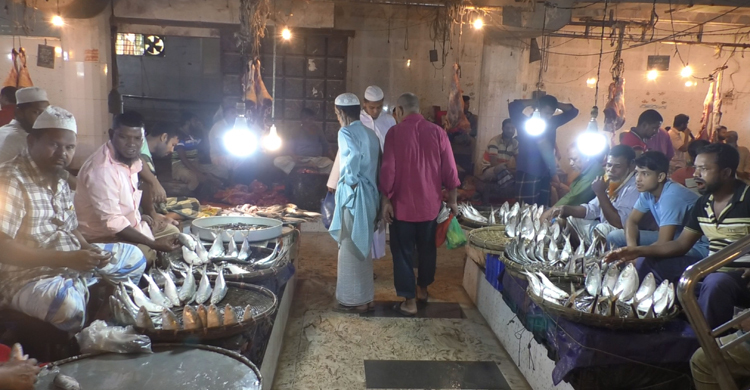 বাজারে ইলিশের সরবরাহ নেই, দাম বেশি