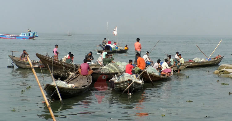 জাটকা শিকারের মচ্ছব, ঘুমিয়ে মৎস্য বিভাগ