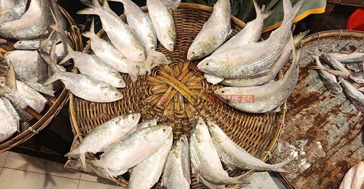 আড়তে ইলিশ কম ক্রেতা বেশি