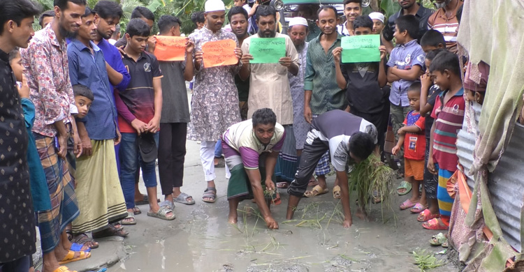 সড়কে গর্ত-কাদাপানি, দুর্ভোগে তিন গ্রামের মানুষ