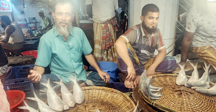 ভোলায় বেড়েছে ইলিশের সরবরাহ