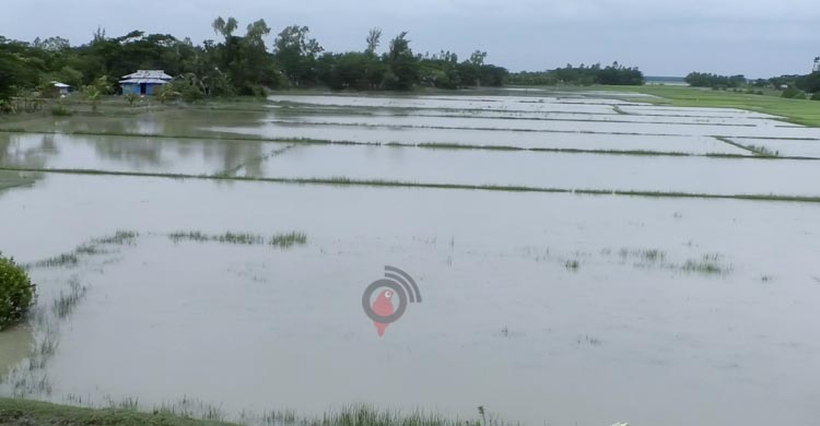 বেড়িবাঁধের অভাবে জোয়ারের সঙ্গে যুদ্ধ ১৫ হাজার মানুষের