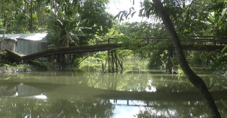 ভোলায় ব্রিজ ভেঙে দুর্ভোগে ১০ হাজার মানুষ