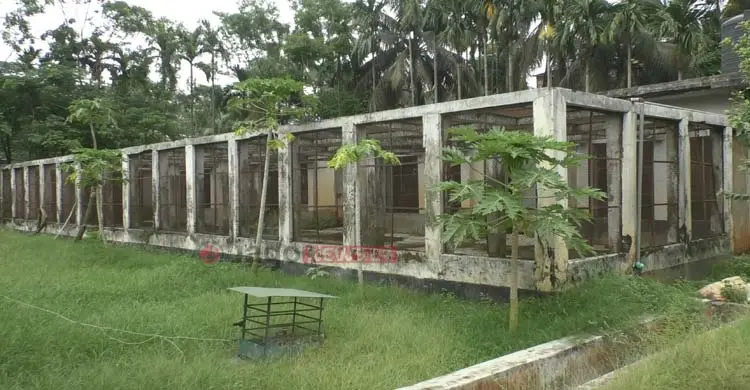 ভোলায় বন্ধ হাঁস প্রজনন খামার, ভাঙছে হাজারো উদ্যোক্তার স্বপ্ন