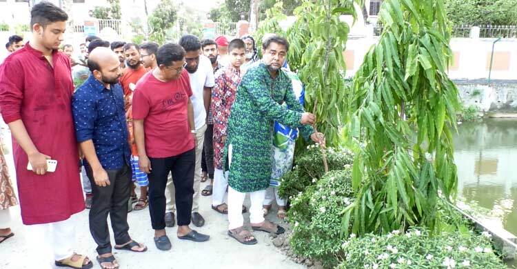 ভোলায় ৫০ হাজার বৃক্ষরোপণ করবে পল্লী বিদ্যুৎ