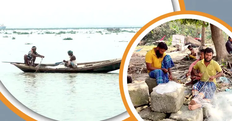 ইলিশ উধাও, জলবায়ু পরিবর্তনকে দুষছেন গবেষকরা