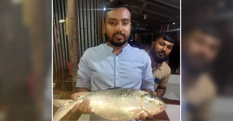 ভোলায় জেলের জালে রাজা ইলিশ, ৯ হাজার টাকায় বিক্রি