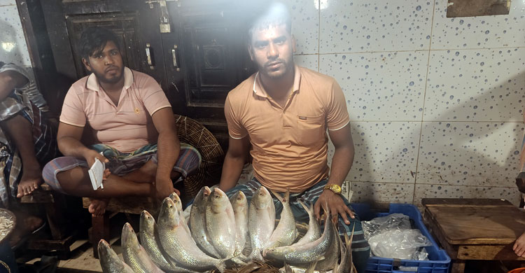 ভোলায় বেড়েছে ইলিশের সরবরাহ