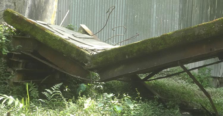 ভোলায় ব্রিজ ভেঙে দুর্ভোগে ১০ হাজার মানুষ