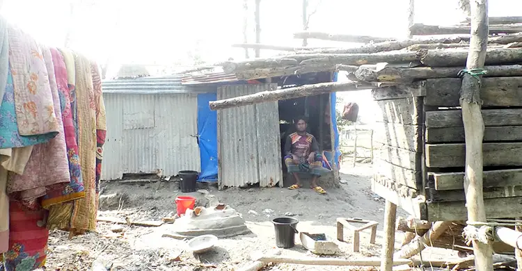 ঢালচরের ভূমিহীনদের মানবেতর জীবনযাপন