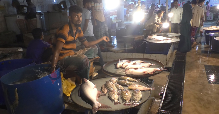 ভোলায় ৩০০ টাকা পর্যন্ত বেড়েছে দেশীয় মাছের দাম