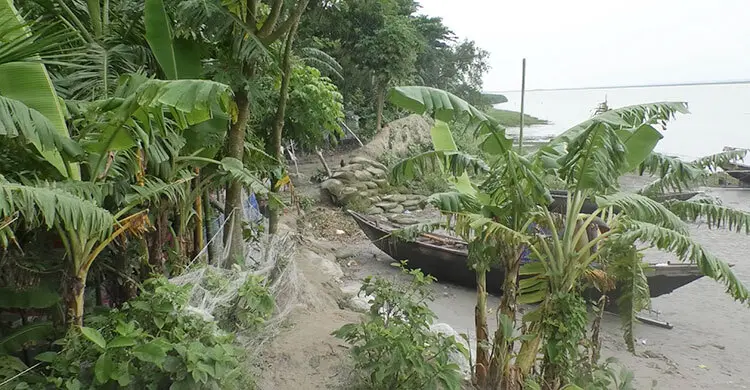 ভোলার লালমোহনে বেড়িবাঁধ ভেঙে প্লাবিত বসতঘর