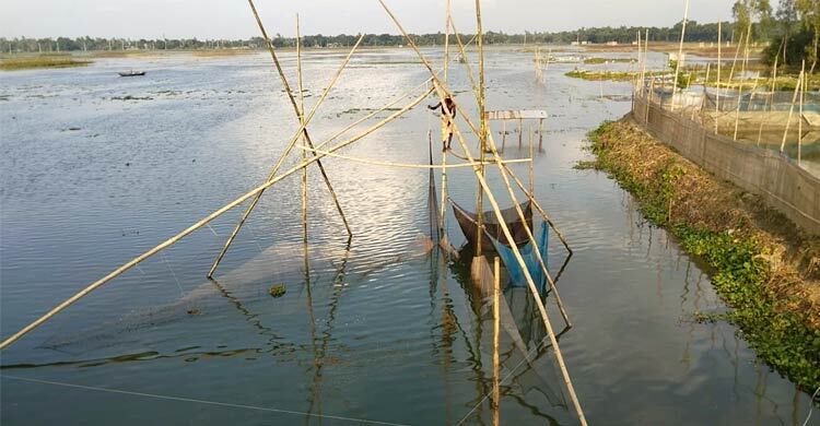 The vanishing waters of Chalanbil: A looming fish crisis