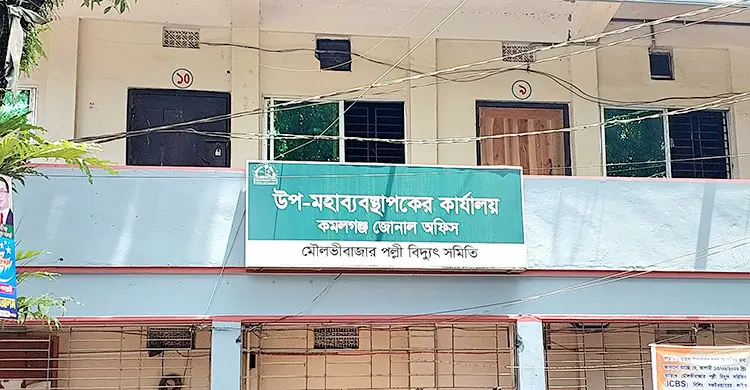 অস্বাভাবিক বিলে পল্লী বিদ্যুতের গ্রাহকদের ভোগান্তি