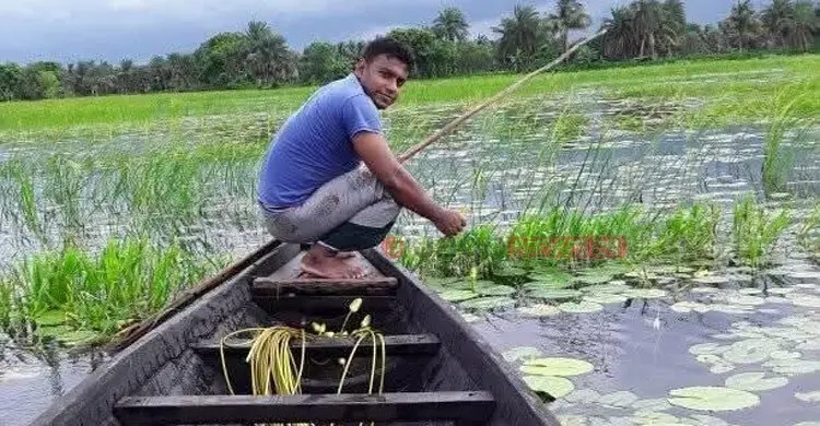 নটডাঙ্গা বিলের শাপলা আর পুঁটি মাছের ঝোল