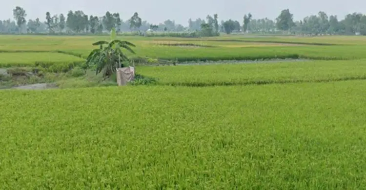 ‘ফাইলে বন্দি’ সিরাজগঞ্জ বিমানবন্দর