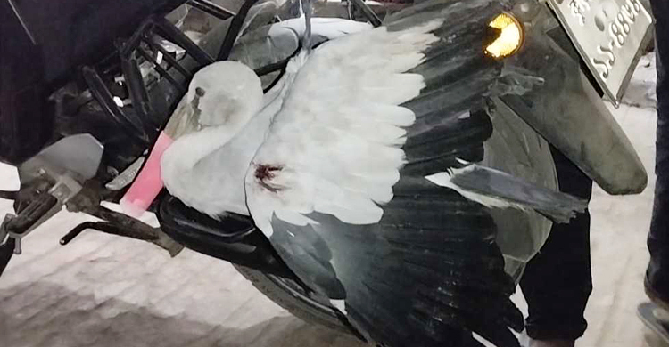 গুলিবিদ্ধ মদনটাককে বাঁচাতে হাসপাতালে ছুটলেন লিটু