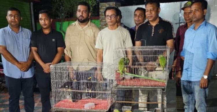 কুষ্টিয়ায় দেশি পাখি উদ্ধার করে বন বিভাগে হস্তান্তর