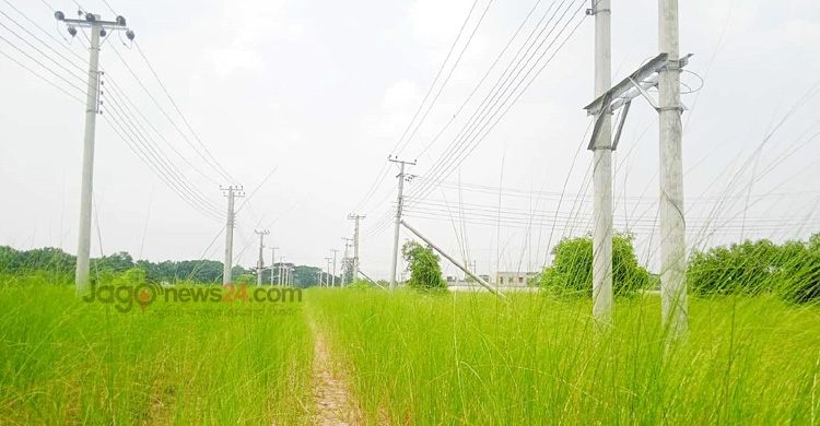 আগ্রহ নেই উদ্যোক্তাদের, রাজশাহীর বিসিক-২ যেন কাশবন