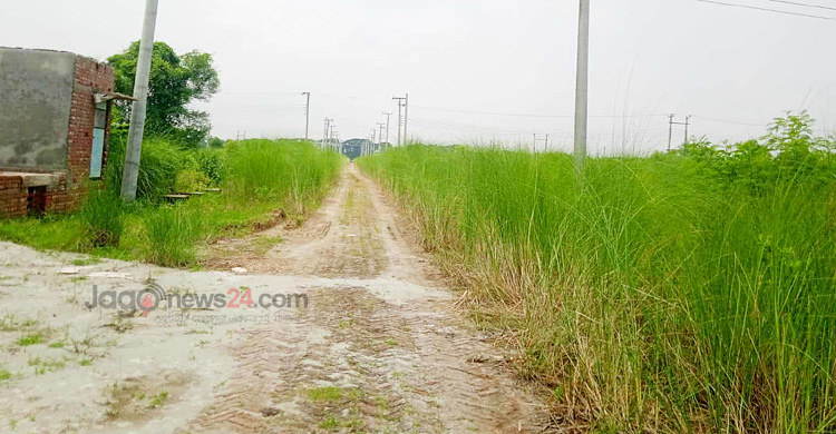 আগ্রহ নেই উদ্যোক্তাদের, রাজশাহীর বিসিক-২ যেন কাশবন