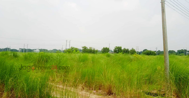 আগ্রহ নেই উদ্যোক্তাদের, রাজশাহীর বিসিক-২ যেন কাশবন