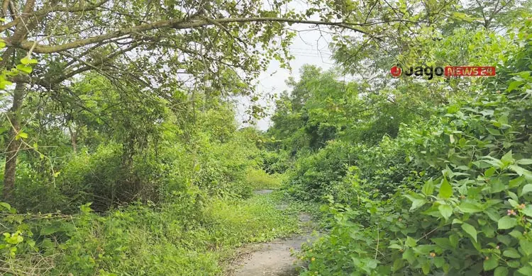 ৫০ কোটি টাকার বিসিক এস্টেট এখন যেন ‘জঙ্গল’